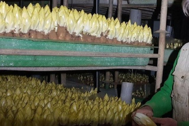 ab3B8d36ccB47Fa9C4a2