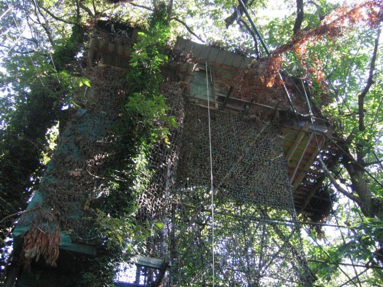 Palombière Laffargue à Pauilhac