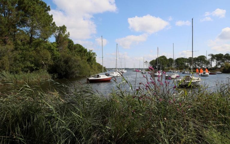 Réserve naturel Dunes et Marais d'Hourtin